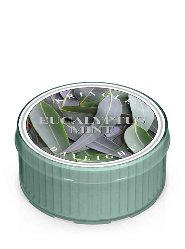 Eucalyptus Mint | DayLight - Kringle Candle Israel