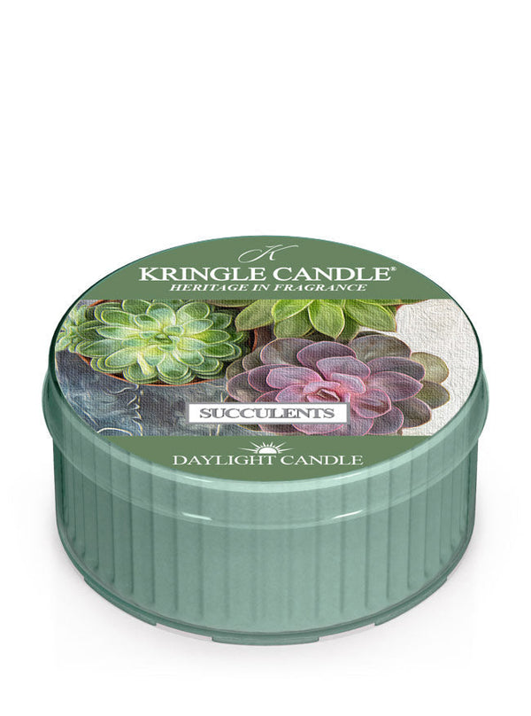Succulents | DayLight - Kringle Candle Israel